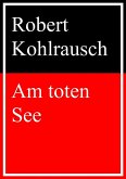 Am toten See (eBook, ePUB)