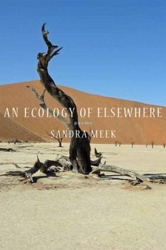 Cover An Ecology of Elsewhere: Poems