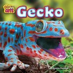 Gecko