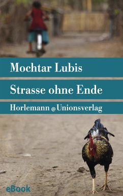 Straße ohne Ende (eBook, ePUB) - Lubis, Mochtar