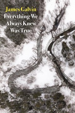 Everything We Always Knew Was True - Galvin, James