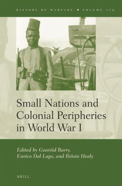 Small Nations and Colonial Peripheries in World War I