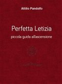 Perfetta Letizia - Piccola guida all'ascensione (eBook, PDF)