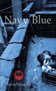 Navy Blue: Volume 15 - Meagher, Steve