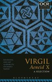 Virgil Aeneid X: A Selection