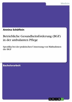 Betriebliche Gesundheitsförderung (BGF) in der ambulanten Pflege - Schäflein, Annina