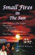 Small Fires in the Sun (eBook, ePUB) - Bild 1