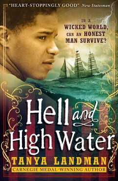 Hell and High Water - Landman, Tanya