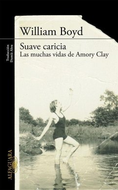 Suave caricia : las muchas vidas de Amory Clay - Boyd, William