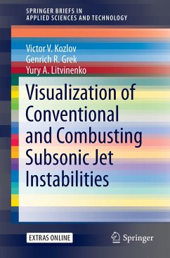 Visualization of Conventional and Combusting Subsonic Jet Instabilities - Kozlov, Victor V.;Grek, Genrich R.;Litvinenko, Yury A.