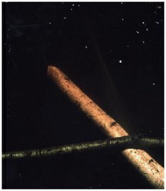 Cover Normand Rajotte