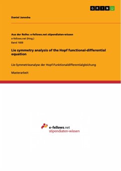 Lie symmetry analysis of the Hopf functional-differential equation