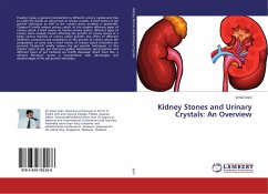 Kidney Stones and Urinary Crystals: An Overview - Joshi, Vimal