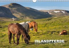 Cover Islandpferde: Gefährten der Wikinger (Wandkalender immerwährend DIN A4 quer)