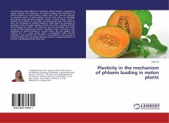 Plasticity in the mechanism of phloem loading in melon plants