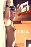 3 Twinks 1 Night: Gay Erotik Action (eBook, ePUB) 3 Twinks 1 Night: Gay Erotik Action (eBook, ePUB)