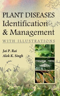 Cover Plant Diseases: Identification and Management