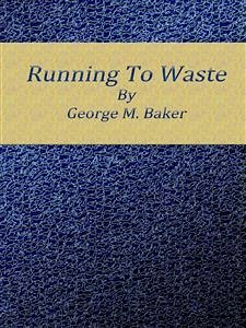 Running to waste (eBook, ePUB) - M. Baker, George