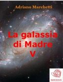 La galassia di Madre - V (eBook, ePUB)