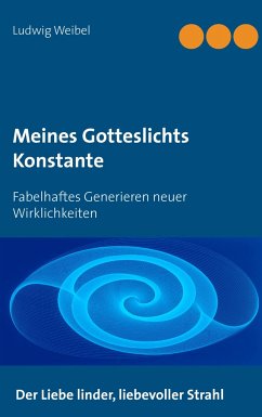 Meines Gotteslichts Konstante - Weibel, Ludwig