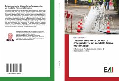 Deterioramento di condotte d'acquedotto: un modello fisico-matematico - Dell'Orfano, Federico