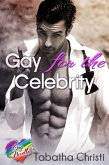 Gay for the Celebrity (eBook, ePUB)