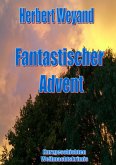 Fantastischer Advent (eBook, ePUB)