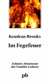 Im Fegefeuer (eBook, ePUB)