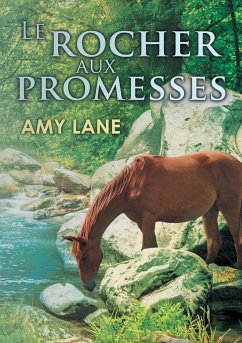Le rocher aux promesses - Lane, Amy