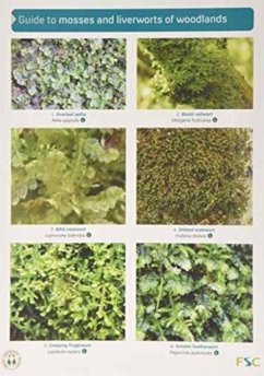 Cover Guide to Mosses and Liverworts of Woodlands