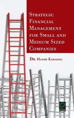 Strategic Financial Management for Small and Medium Sized Companies - Karadag, Hande