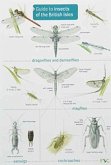 Guide to Insects of the British Isles Guide to Insects of the British Isles