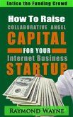 How To Raise Collaborative Angel CAPITAL For Internet Business Startup (eBook, ePUB)