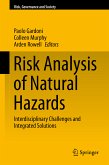 Risk Analysis of Natural Hazards (eBook, PDF)