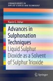 Advances in Sulphonation Techniques (eBook, PDF)