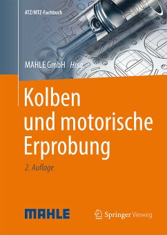 Kolben und motorische Erprobung (eBook, PDF)