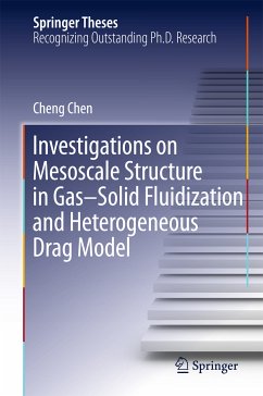 Investigations on Mesoscale Structure in Gas–Solid Fluidization and Heterogeneous Drag Model (eBook, PDF) - Chen, Cheng