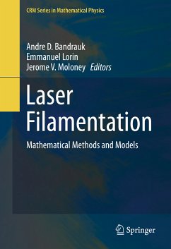 Laser Filamentation (eBook, PDF)