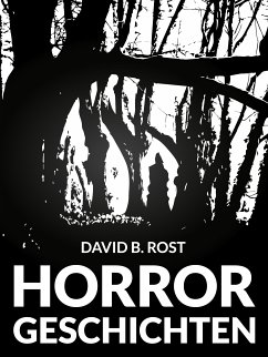 Horrorgeschichten (eBook, ePUB) - Rost, David B.