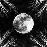 Pale Moon (Lp)