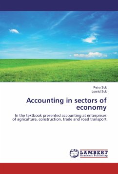 Accounting in sectors of economy