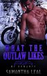 What the Outlaw Likes MC Romance (Bad... - Bild 1