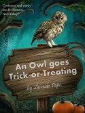 An Owl Goes Trick-or-Treating (eBook, ePUB)
