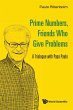 PRIME NUMBERS, FRIENDS WHO GIVE PROBLEMS - Bild 1