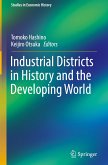 Industrial Districts in History and the Developing World