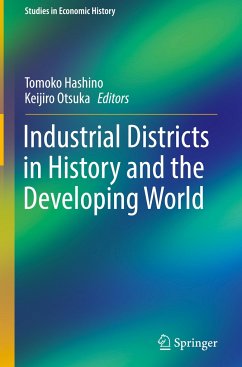 Industrial Districts in History and the Developing World