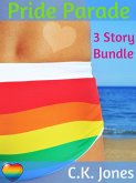 Pride Parade: 3 Story Gay Bundle (eBook, ePUB)