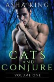 Cats & Conjure Volume One (eBook, ePUB) Cats & Conjure Volume One (eBook, ePUB)