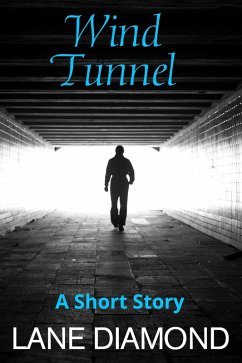 Wind Tunnel (eBook, ePUB) - Diamond, Lane