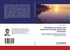 Modelling of Flows and Sediment through Hydraulic Structures